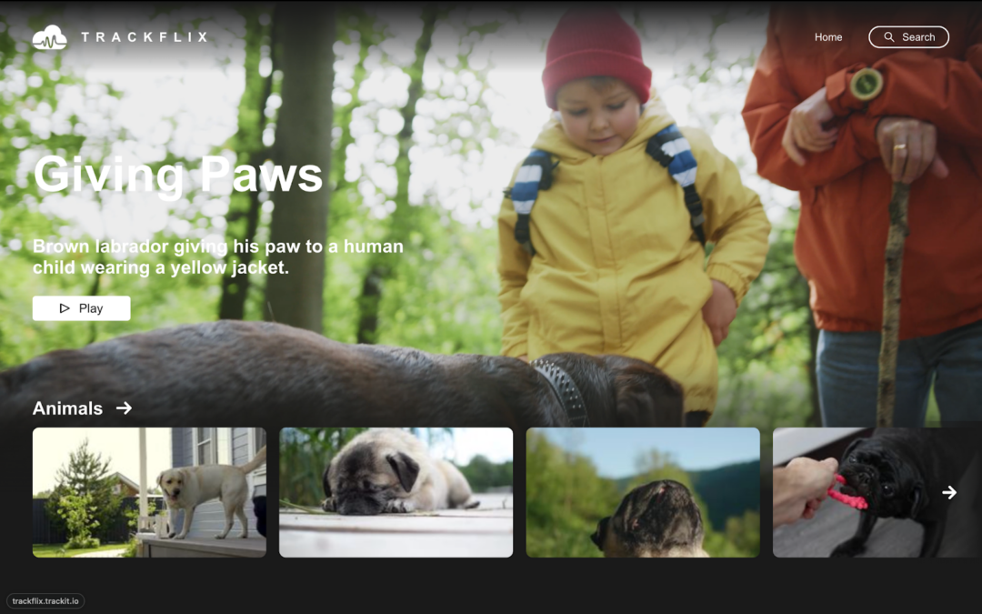 Featured Image for TrackFlix Suite - Streaming Ecosystem
